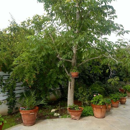 Hotel Sunny Garden Studio Nikosia Exterior foto