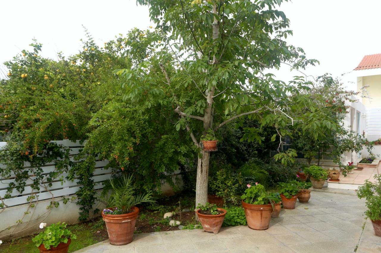 Hotel Sunny Garden Studio Nikosia Exterior foto